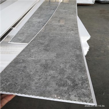 250 mm PVC sienu paneļi