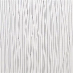 PVC dušas paneļi 1m X 2,4m